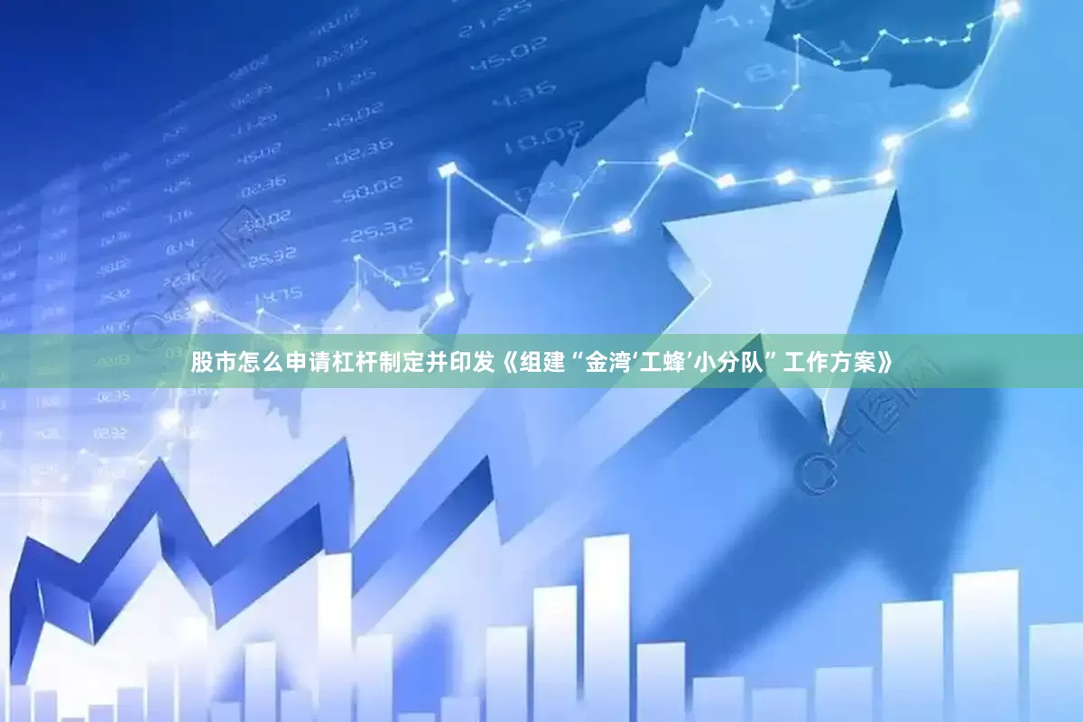 股市怎么申请杠杆制定并印发《组建“金湾‘工蜂’小分队”工作方案》