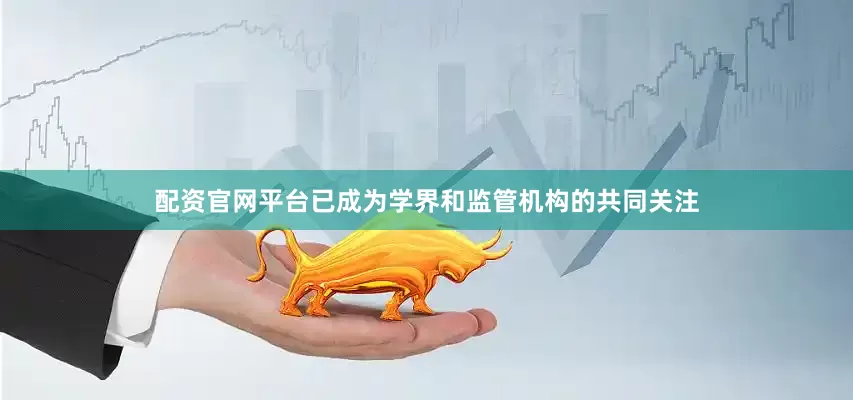 配资官网平台已成为学界和监管机构的共同关注