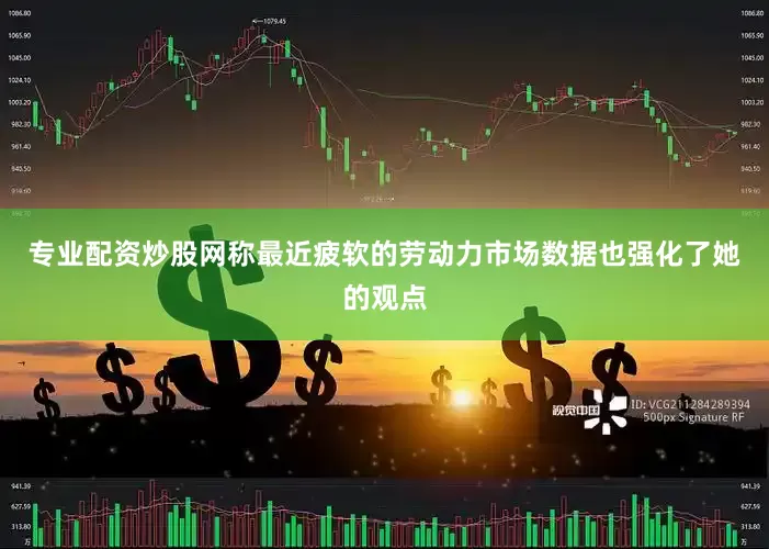 专业配资炒股网称最近疲软的劳动力市场数据也强化了她的观点