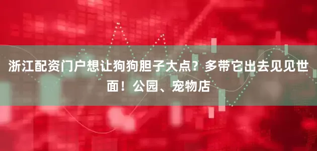 浙江配资门户想让狗狗胆子大点？多带它出去见见世面！公园、宠物店