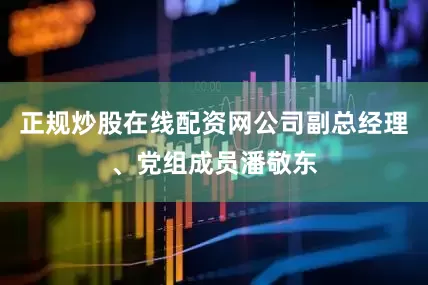 正规炒股在线配资网公司副总经理、党组成员潘敬东